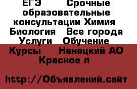 ЕГЭ-2021! Срочные образовательные консультации Химия, Биология - Все города Услуги » Обучение. Курсы   . Ненецкий АО,Красное п.